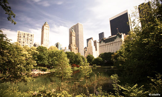 Sketching Nature in Central Park