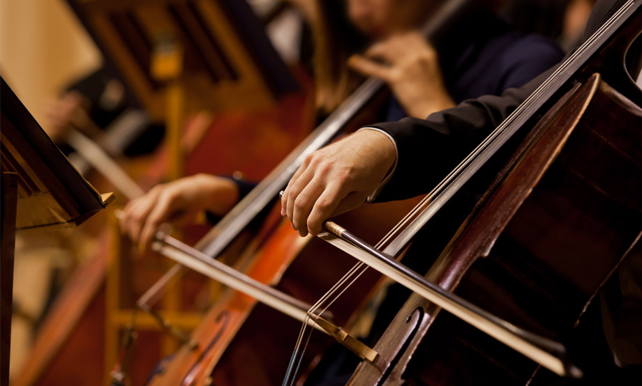 Adult Cello Ensemble