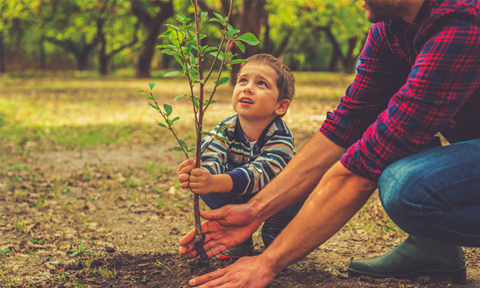 Family Tu B’shevat Dinner